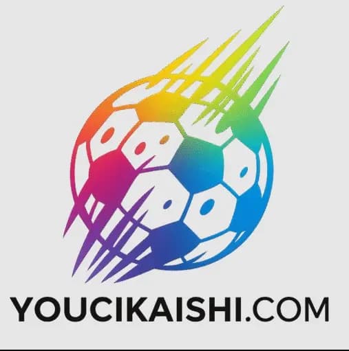 youcikaishi com