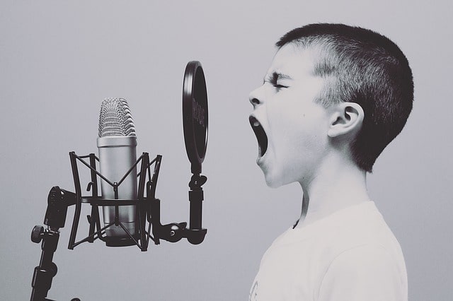 How To Establish A Strong Online Presence As A Voice Over Artist