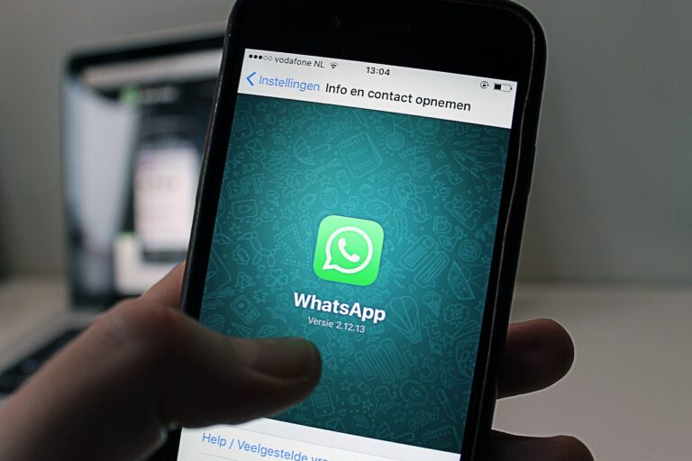 <strong>50+ WhatsApp Statistics You Must Know</strong>